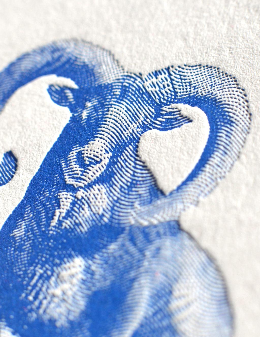 Big Horn Letterpress Postcard