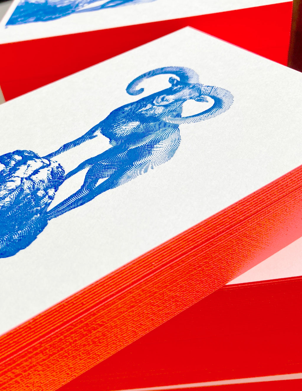 Big Horn Letterpress Postcard