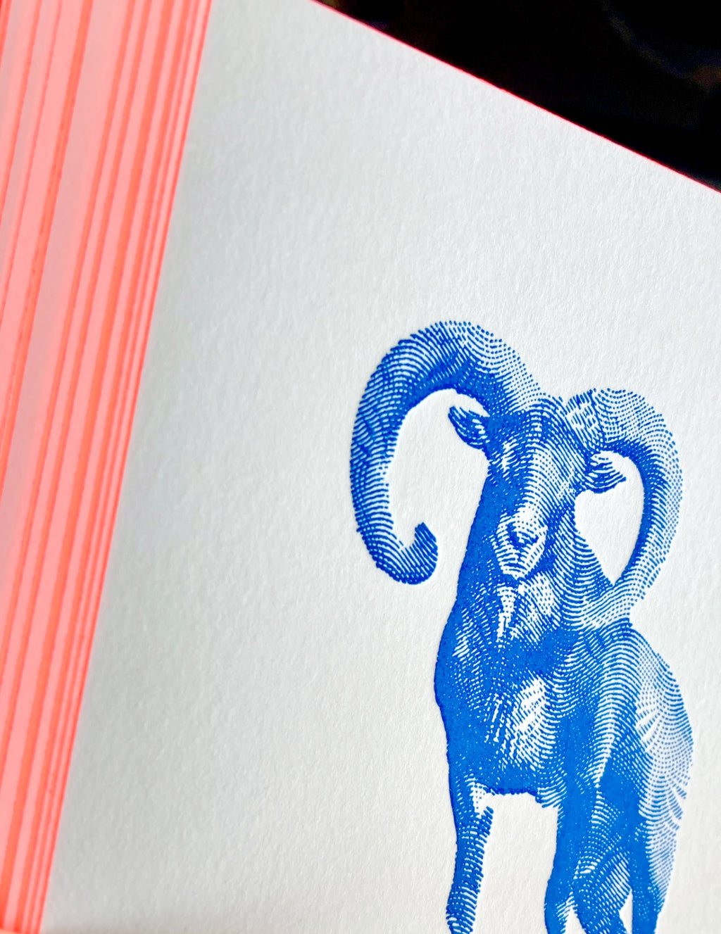 Big Horn Letterpress Postcard
