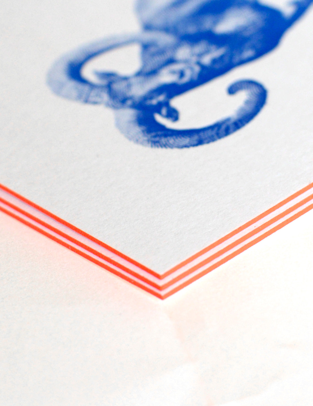 Big Horn Letterpress Postcard